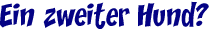 Ein zweiter Hund?